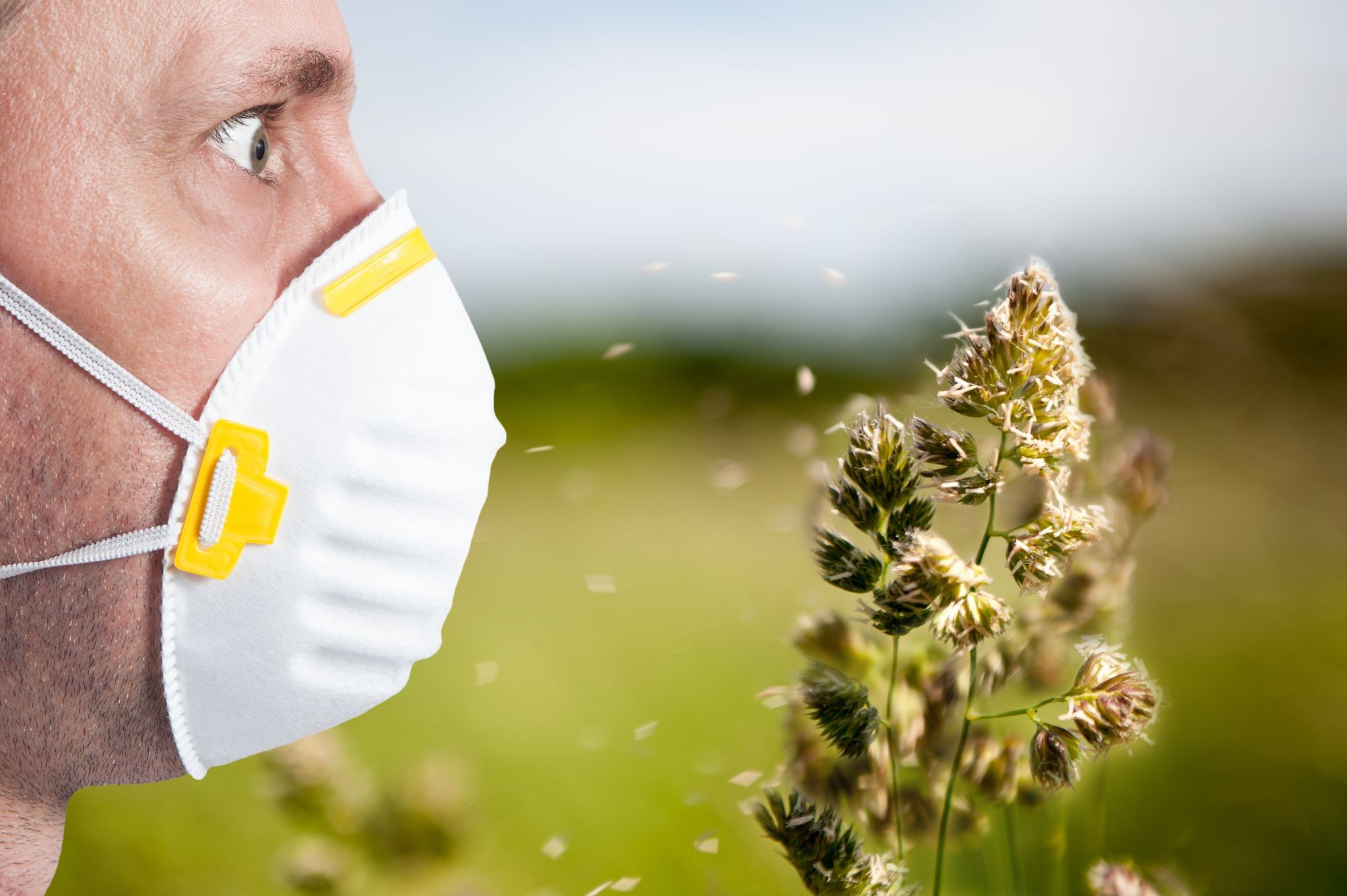 Allergy Clinic: Avoid Your Allergy Triggers